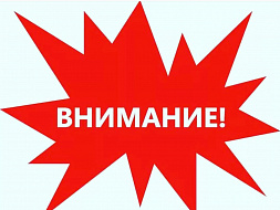 Пошаговая инструкция по заполнению заявления на выплату от 3 до 7 лет.